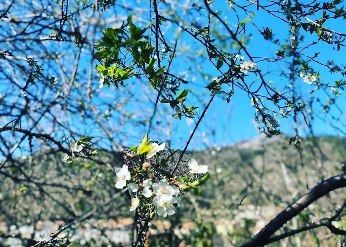 Zac House 4* Toirano