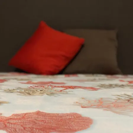 Zac House 4* Тойрано