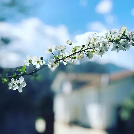 Zac House 住宿加早餐酒店 4*