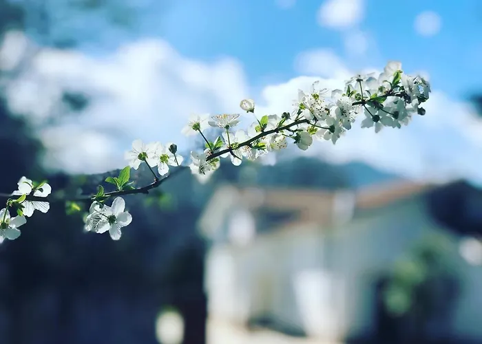 Zac House Bed & Breakfast 4*